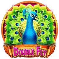 Double Fly